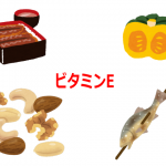 ビタミンEが含まれる食品（かぼちゃ・ナッツ類・鮎・ウナギのかば焼き）